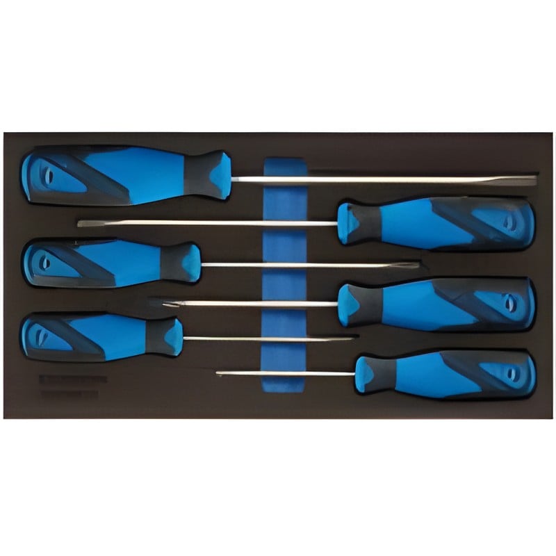 Schroevendraaierset 2163 torx met gat 6-delig